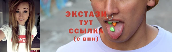 эйфоретик Гусь-Хрустальный