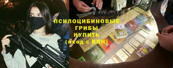 эйфоретик Гусь-Хрустальный