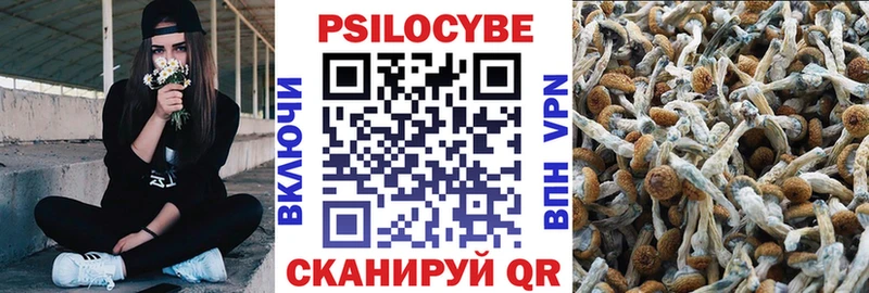 Купить закладки  Домодедово  Галлюциногенные грибы мицелий 