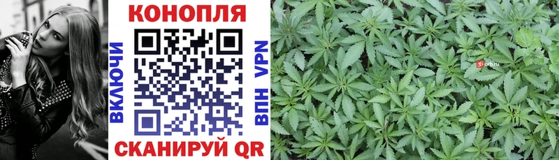 Марихуана план  Купить закладки  Домодедово 